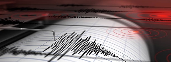 Deprem Analiz Raporu Başvuru Formu